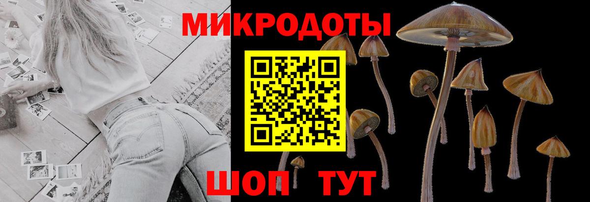 Сертолово  Галлюциногенные грибы Psilocybe  Вход с VPN 